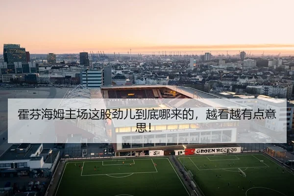 霍芬海姆主场这股劲儿到底哪来的，越看越有点意思！